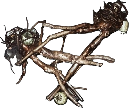 Jordan Pain Society Conference